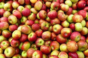 Apple diet to lose weight